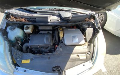 What makes a Toyota engine surge slightly at stoplights?